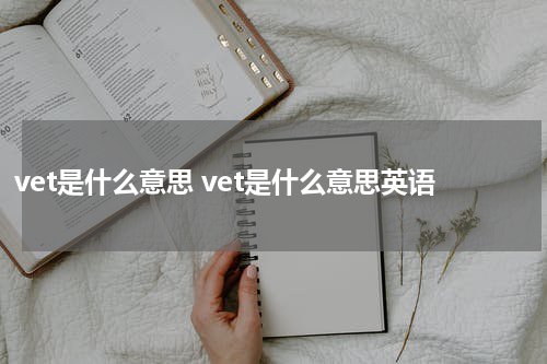 vet是什么意思 vet是什么意思英语