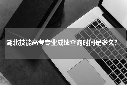 湖北技能高考专业成绩查询时间是多久？