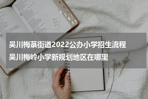 吴川梅菉街道2022公办小学招生流程 吴川梅岭小学新规划地区在哪里