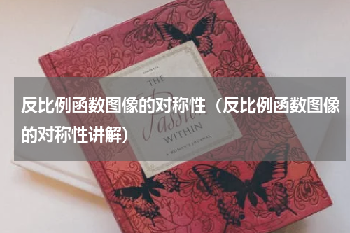 反比例函数图像的对称性（反比例函数图像的对称性讲解）