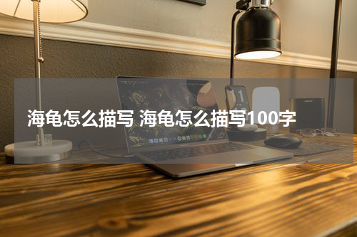 海龟怎么描写 海龟怎么描写100字