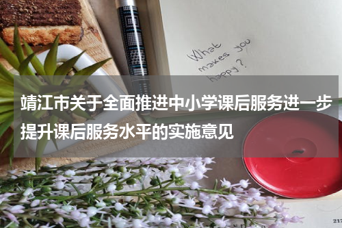 靖江市关于全面推进中小学课后服务进一步提升课后服务水平的实施意见