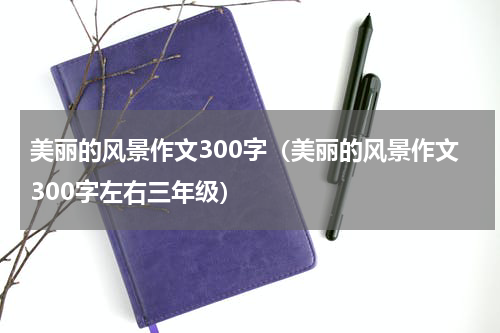 美丽的风景作文300字（美丽的风景作文300字左右三年级）