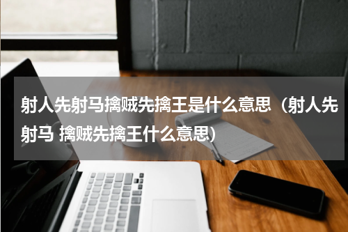 射人先射马擒贼先擒王是什么意思（射人先射马 擒贼先擒王什么意思）