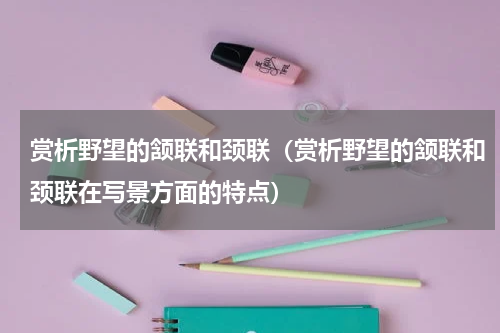 赏析野望的颔联和颈联（赏析野望的颔联和颈联在写景方面的特点）