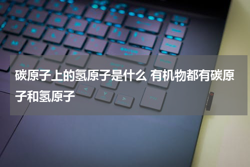 碳原子上的氢原子是什么 有机物都有碳原子和氢原子