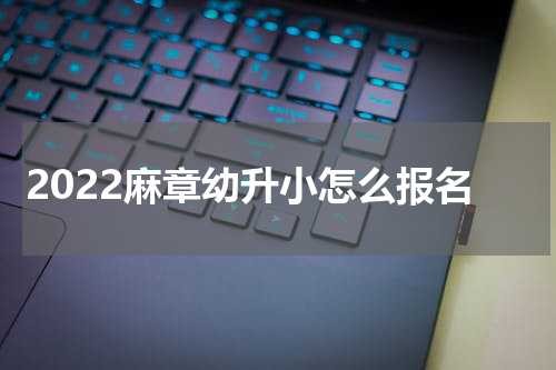 2022麻章幼升小怎么报名