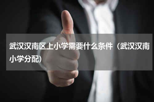 武汉汉南区上小学需要什么条件（武汉汉南小学分配）