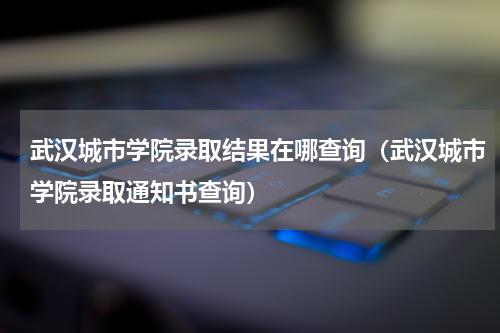 武汉城市学院录取结果在哪查询（武汉城市学院录取通知书查询）