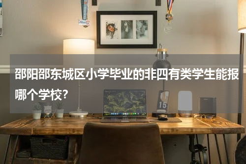 邵阳邵东城区小学毕业的非四有类学生能报哪个学校？