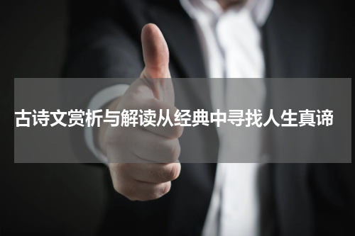  古诗文赏析与解读从经典中寻找人生真谛