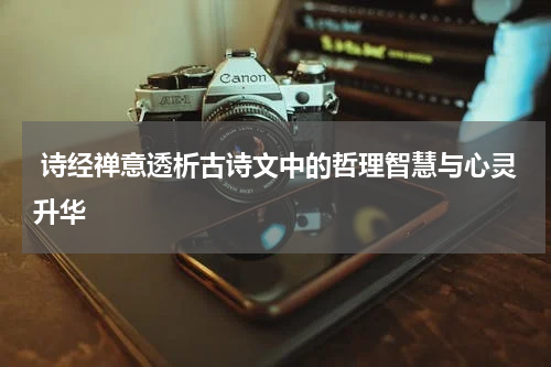  诗经禅意透析古诗文中的哲理智慧与心灵升华