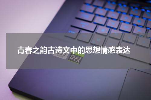  青春之韵古诗文中的思想情感表达