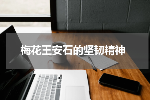  梅花王安石的坚韧精神