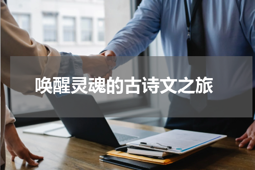  唤醒灵魂的古诗文之旅
