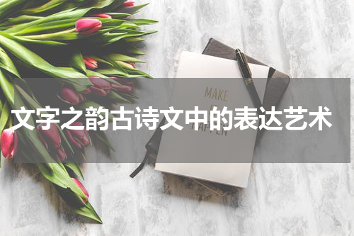  文字之韵古诗文中的表达艺术