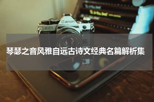  琴瑟之音风雅自远古诗文经典名篇解析集
