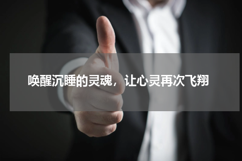  唤醒沉睡的灵魂，让心灵再次飞翔