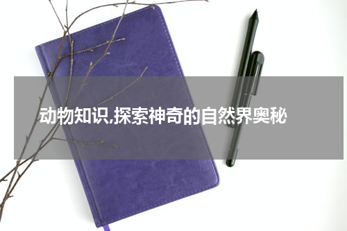  动物知识,探索神奇的自然界奥秘