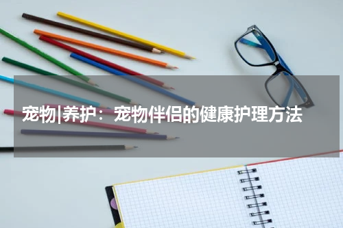  宠物|养护：宠物伴侣的健康护理方法