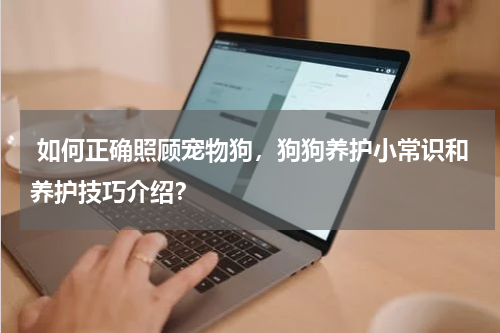  如何正确照顾宠物狗，狗狗养护小常识和养护技巧介绍？