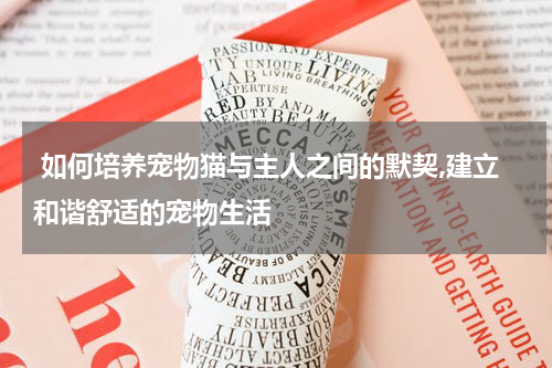  如何培养宠物猫与主人之间的默契,建立和谐舒适的宠物生活