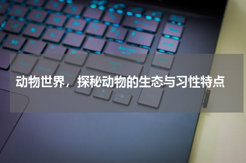  动物世界，探秘动物的生态与习性特点