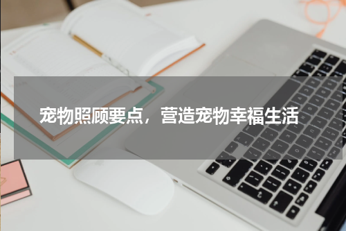  宠物照顾要点，营造宠物幸福生活