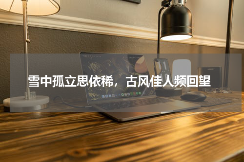  雪中孤立思依稀，古风佳人频回望