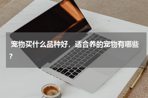  宠物买什么品种好，适合养的宠物有哪些？