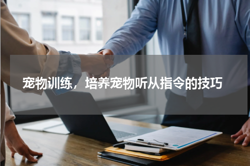  宠物训练，培养宠物听从指令的技巧