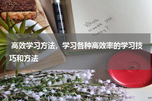  高效学习方法，学习各种高效率的学习技巧和方法