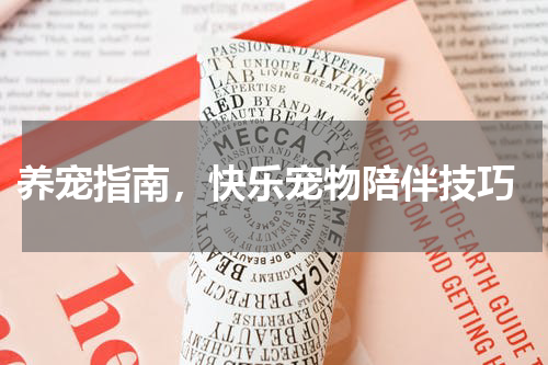  养宠指南，快乐宠物陪伴技巧