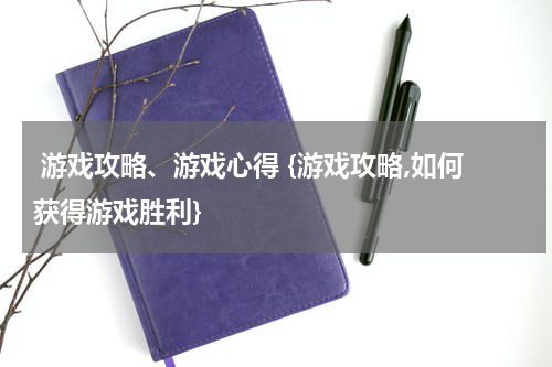  游戏攻略、游戏心得 {游戏攻略,如何获得游戏胜利}