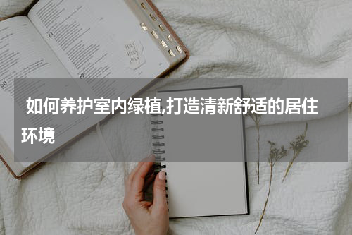 如何养护室内绿植,打造清新舒适的居住环境