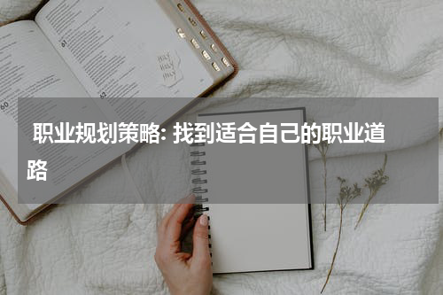  职业规划策略: 找到适合自己的职业道路