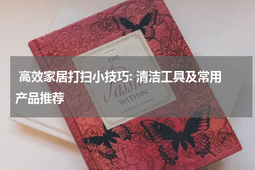  高效家居打扫小技巧: 清洁工具及常用产品推荐