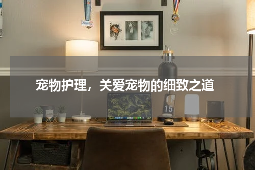  宠物护理，关爱宠物的细致之道