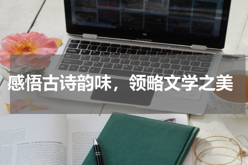  感悟古诗韵味，领略文学之美