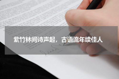  紫竹林间诗声起，古语流年续佳人