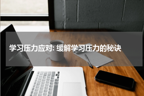  学习压力应对: 缓解学习压力的秘诀