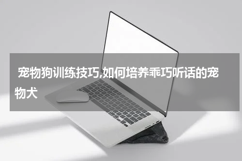  宠物狗训练技巧,如何培养乖巧听话的宠物犬