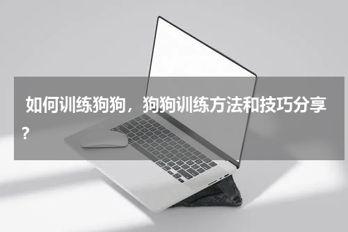  如何训练狗狗，狗狗训练方法和技巧分享？