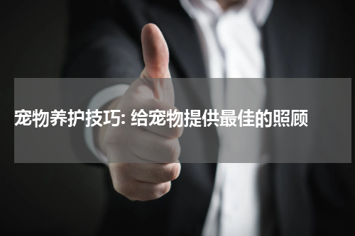  宠物养护技巧: 给宠物提供最佳的照顾