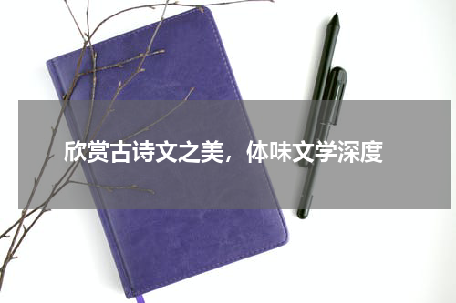  欣赏古诗文之美，体味文学深度