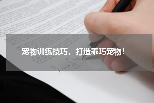  宠物训练技巧，打造乖巧宠物！