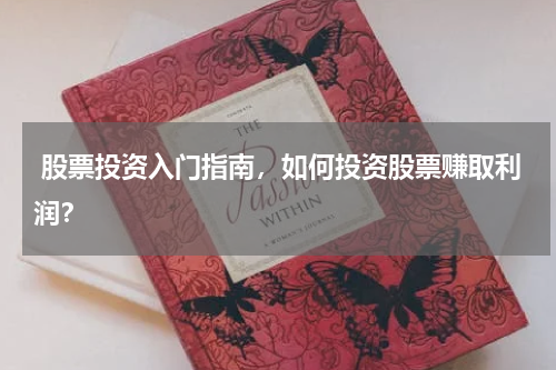  股票投资入门指南，如何投资股票赚取利润？