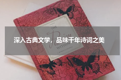  深入古典文学，品味千年诗词之美
