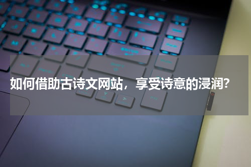  如何借助古诗文网站，享受诗意的浸润？