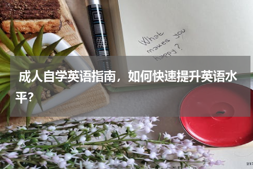  成人自学英语指南，如何快速提升英语水平？